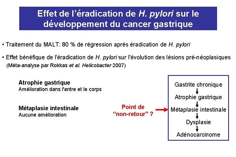 Effet de l’éradication de H. pylori sur le développement du cancer gastrique • Traitement