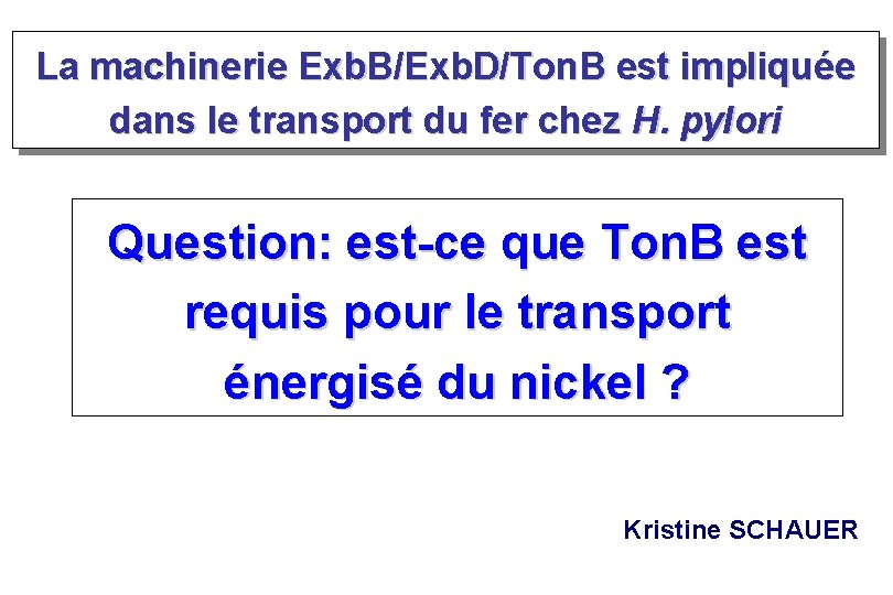 La machinerie Exb. B/Exb. D/Ton. B est impliquée dans le transport du fer chez