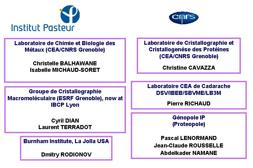 Laboratoire de Chimie et Biologie des Métaux (CEA/CNRS Grenoble) Christelle BALHAWANE Isabelle MICHAUD-SORET Groupe