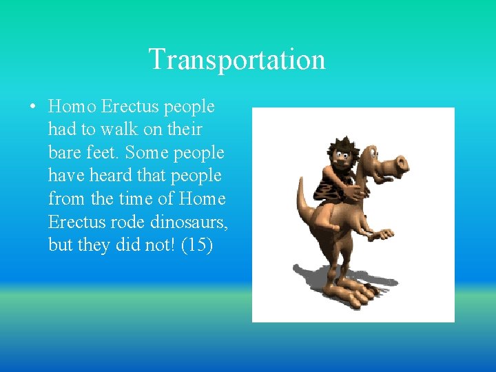 Transportation • Homo Erectus people had to walk on their bare feet. Some people