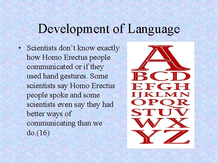 Development of Language • Scientists don’t know exactly how Homo Erectus people communicated or