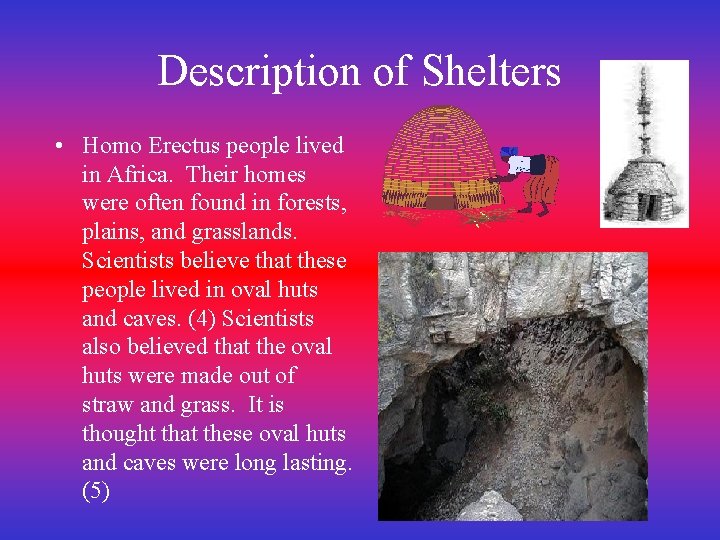 Description of Shelters • Homo Erectus people lived in Africa. Their homes were often