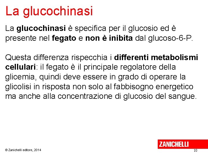 La glucochinasi è specifica per il glucosio ed è presente nel fegato e non
