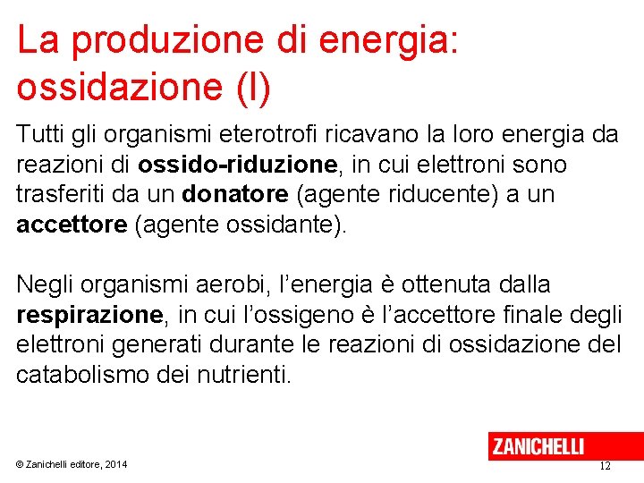 La produzione di energia: ossidazione (I) Tutti gli organismi eterotrofi ricavano la loro energia