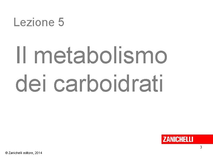 Lezione 5 Il metabolismo dei carboidrati 3 © Zanichelli editore, 2014 