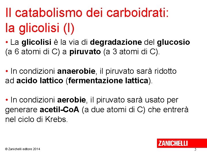 Il catabolismo dei carboidrati: la glicolisi (I) • La glicolisi è la via di