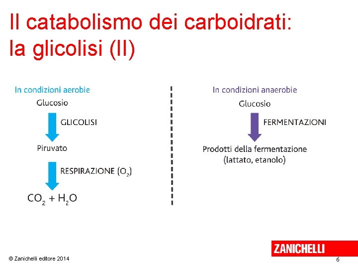 Il catabolismo dei carboidrati: la glicolisi (II) © Zanichelli editore 2014 6 