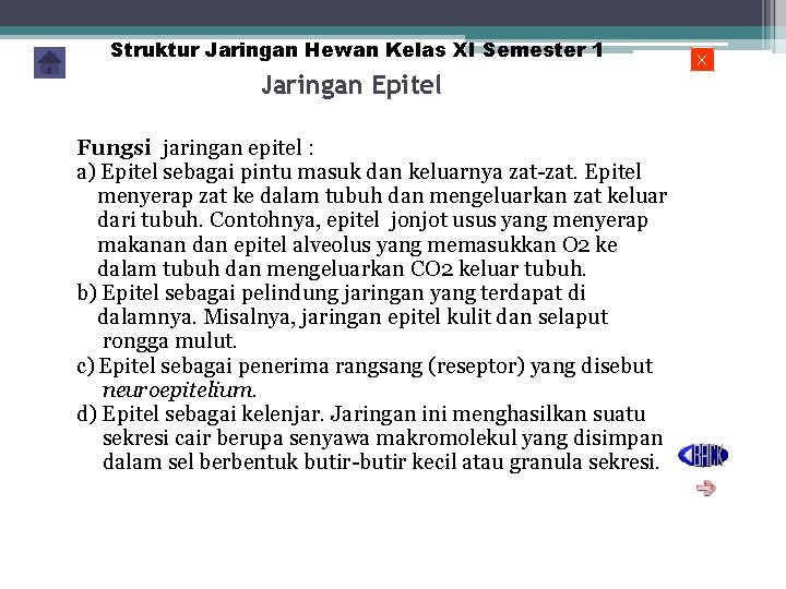 Struktur Jaringan Hewan Kelas XI Semester 1 Jaringan Epitel Fungsi jaringan epitel : a)