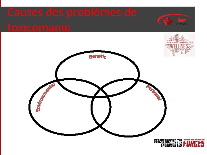 Causes des problèmes de toxicomanie 