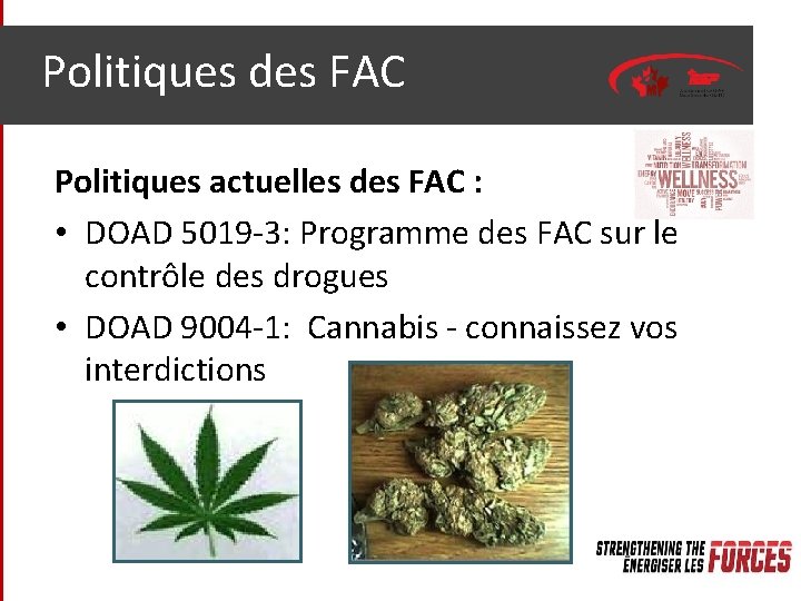 Politiques des FAC Politiques actuelles des FAC : • DOAD 5019 -3: Programme des