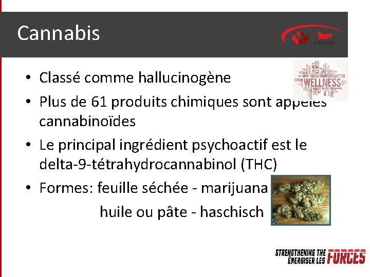 Cannabis • Classé comme hallucinogène • Plus de 61 produits chimiques sont appelés cannabinoïdes