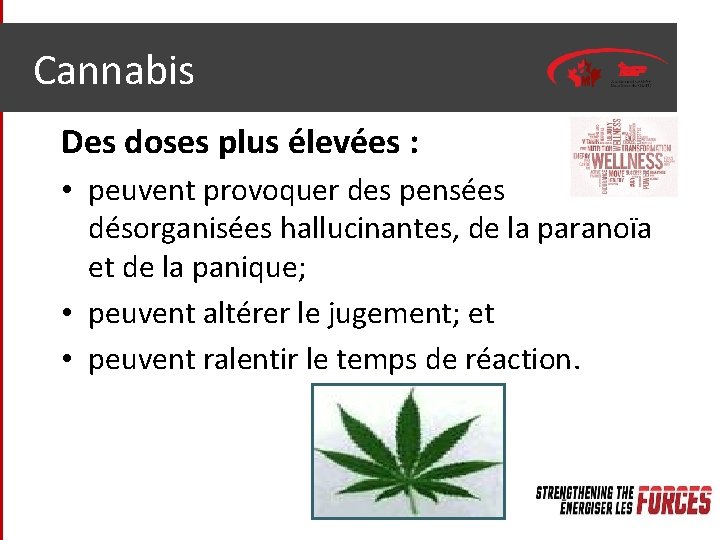 Cannabis Des doses plus élevées : • peuvent provoquer des pensées désorganisées hallucinantes, de