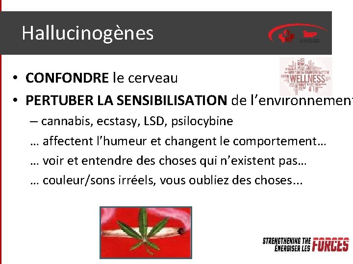 Hallucinogènes • CONFONDRE le cerveau • PERTUBER LA SENSIBILISATION de l’environnement – cannabis, ecstasy,