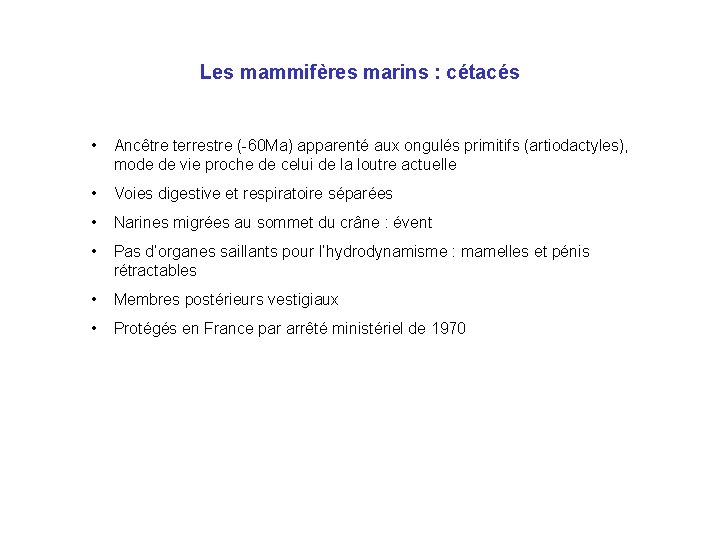 Les mammifères marins : cétacés • Ancêtre terrestre (-60 Ma) apparenté aux ongulés primitifs