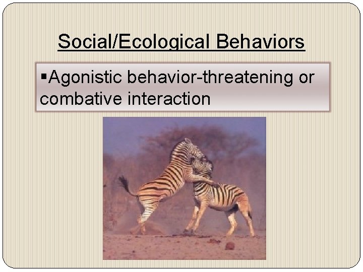 Social/Ecological Behaviors §Agonistic behavior-threatening or combative interaction 