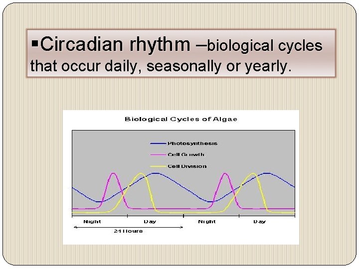 §Circadian rhythm –biological cycles that occur daily, seasonally or yearly. 