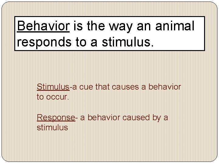 Behavior is the way an animal responds to a stimulus. Stimulus-a cue that causes