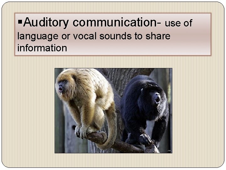 §Auditory communication- use of language or vocal sounds to share information 