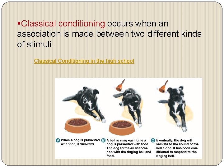 §Classical conditioning occurs when an association is made between two different kinds of stimuli.