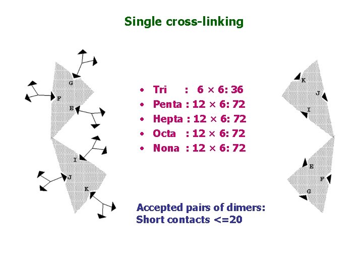 Single cross-linking • • • Tri : 6 × 6: 36 Penta : 12