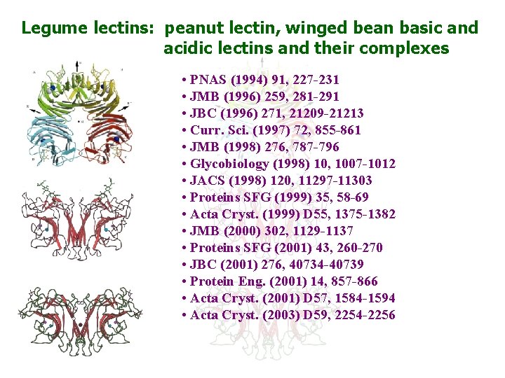 Legume lectins: peanut lectin, winged bean basic and acidic lectins and their complexes •