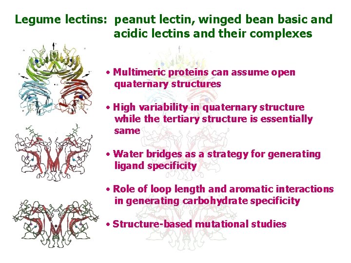 Legume lectins: peanut lectin, winged bean basic and acidic lectins and their complexes •