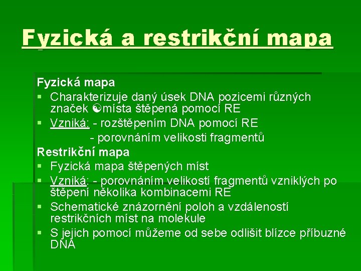 Fyzická a restrikční mapa Fyzická mapa § Charakterizuje daný úsek DNA pozicemi různých značek