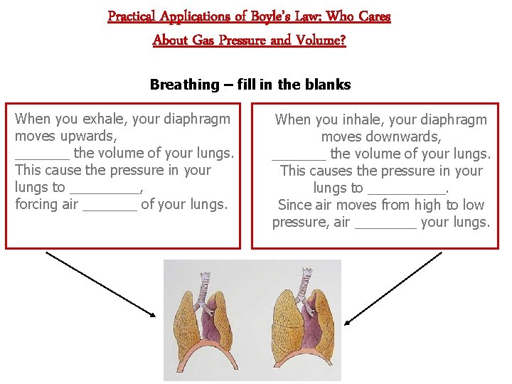 Practical Applications of Boyle’s Law: Who Cares About Gas Pressure and Volume? Breathing –