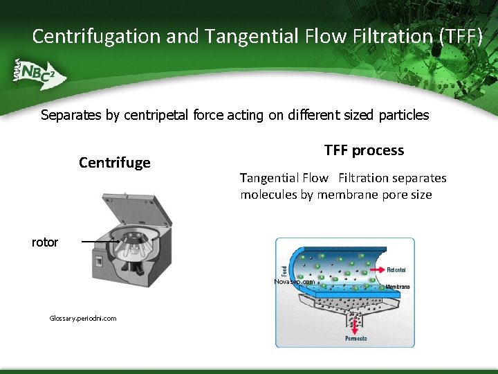 Centrifugation and Tangential Flow Filtration (TFF) Separates by centripetal force acting on different sized