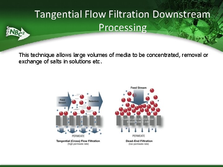 Tangential Flow Filtration Downstream Processing This technique allows large volumes of media to be