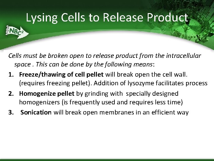 Lysing Cells to Release Product Cells must be broken open to release product from