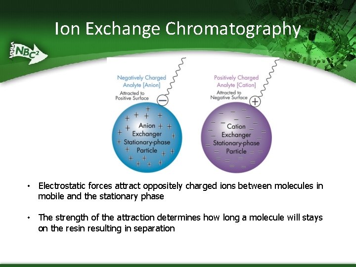 Ion Exchange Chromatography • Electrostatic forces attract oppositely charged ions between molecules in mobile