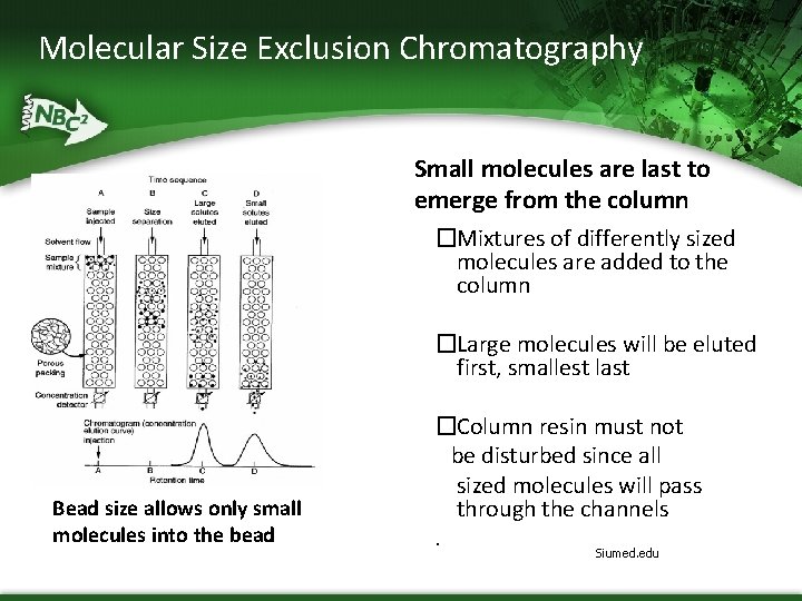 Molecular Size Exclusion Chromatography Small molecules are last to emerge from the column �Mixtures