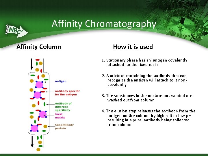 Affinity Chromatography Affinity Column How it is used 1. Stationary phase has an antigen