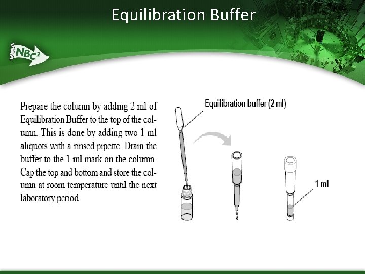 Equilibration Buffer 