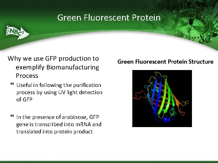 Green Fluorescent Protein Why we use GFP production to exemplify Biomanufacturing Process Useful in