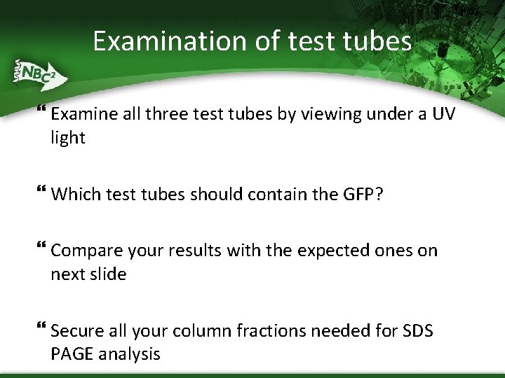 Examination of test tubes Examine all three test tubes by viewing under a UV