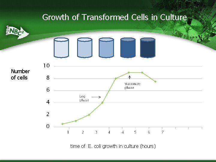 Growth of Transformed Cells in Culture Number of cells time of E. coli growth