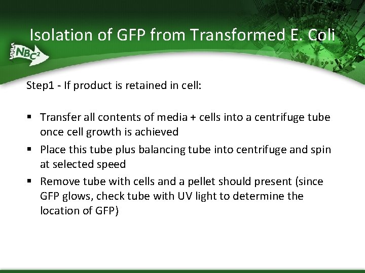 Isolation of GFP from Transformed E. Coli Step 1 - If product is retained