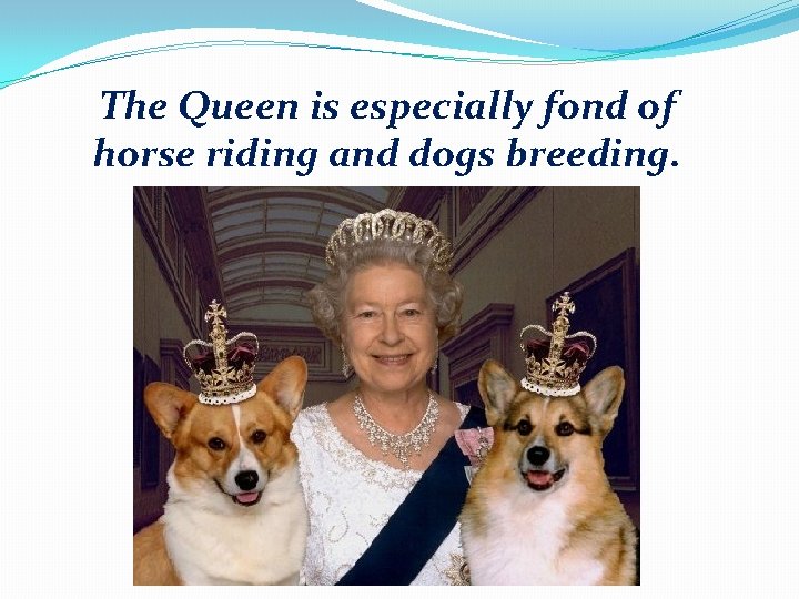 The Queen is especially fond of horse riding and dogs breeding. 
