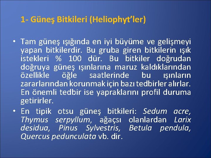 1 - Güneş Bitkileri (Heliophyt’ler) • Tam güneş ışığında en iyi büyüme ve gelişmeyi