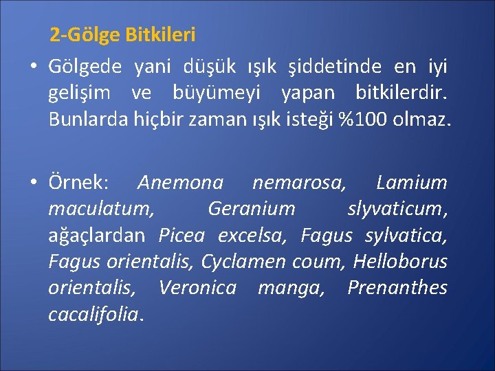 2 -Gölge Bitkileri • Gölgede yani düşük ışık şiddetinde en iyi gelişim ve büyümeyi