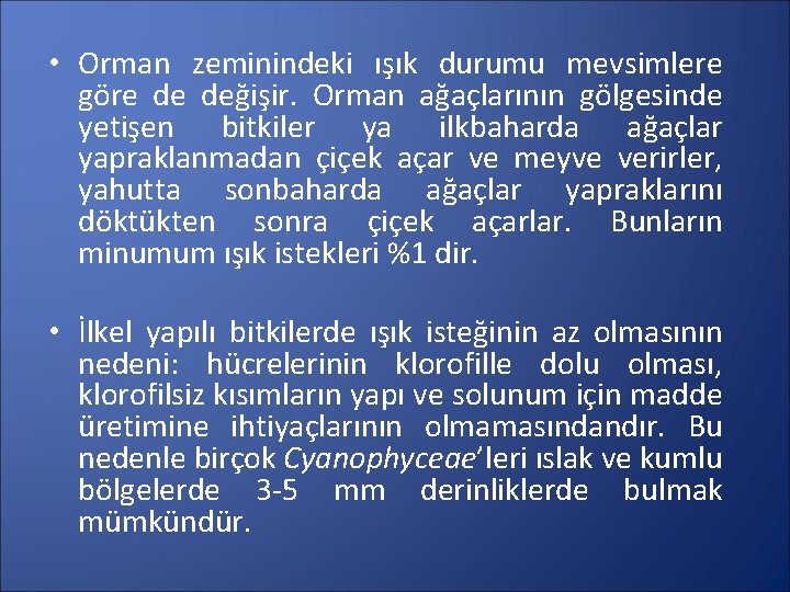  • Orman zeminindeki ışık durumu mevsimlere göre de değişir. Orman ağaçlarının gölgesinde yetişen