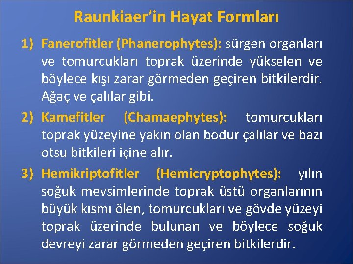 Raunkiaer’in Hayat Formları 1) Fanerofitler (Phanerophytes): sürgen organları ve tomurcukları toprak üzerinde yükselen ve