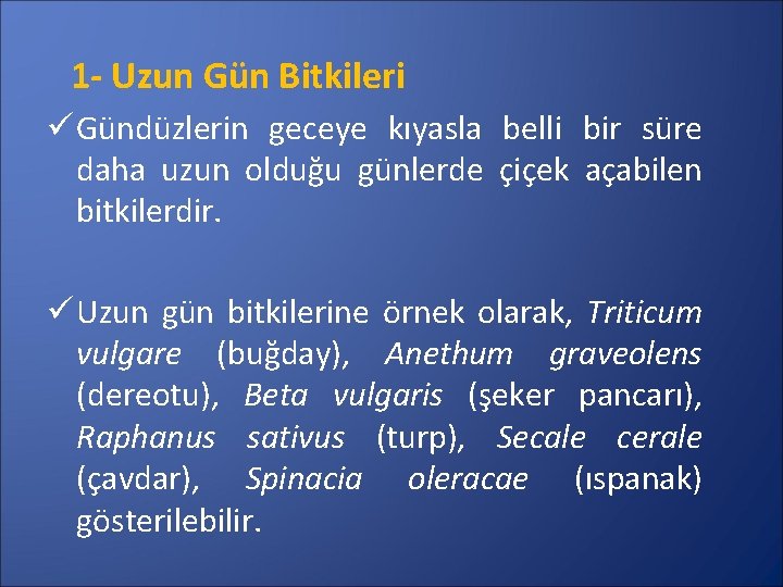 1 - Uzun Gün Bitkileri ü Gündüzlerin geceye kıyasla belli bir süre daha uzun