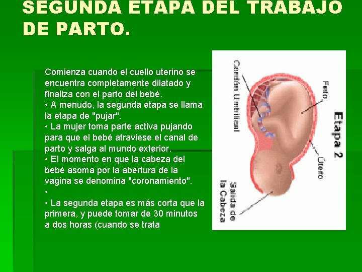 SEGUNDA ETAPA DEL TRABAJO DE PARTO. Comienza cuando el cuello uterino se encuentra completamente