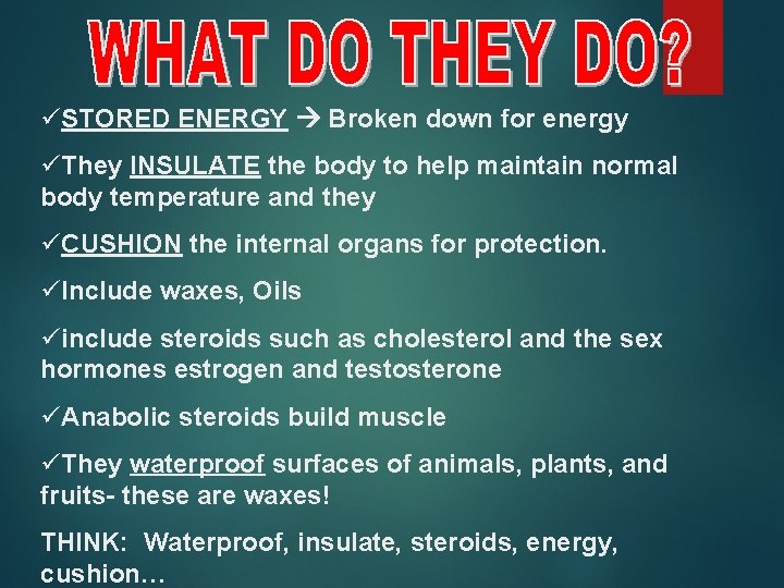 üSTORED ENERGY Broken down for energy üThey INSULATE the body to help maintain normal