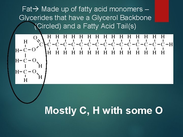 Fat Made up of fatty acid monomers – Glycerides that have a Glycerol Backbone