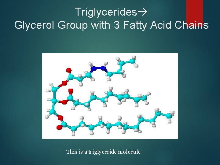 Triglycerides Glycerol Group with 3 Fatty Acid Chains This is a triglyceride molecule 