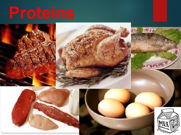 Proteins 